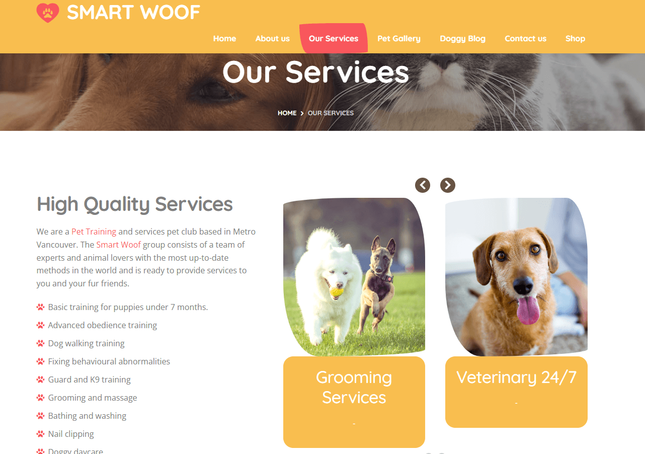 Web Design by Affordable Website in Surrey